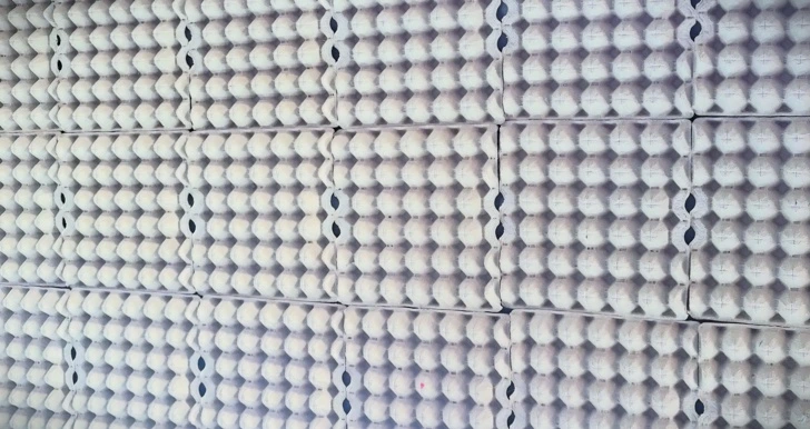 Egg DIY caixas de ovos