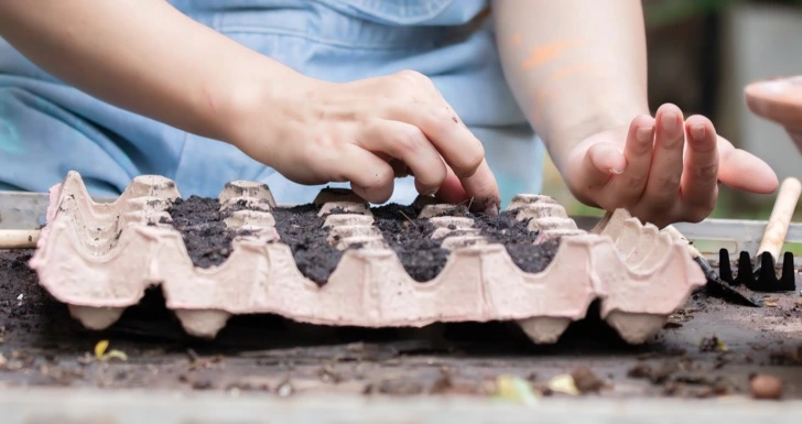 Egg diy caixas de ovos