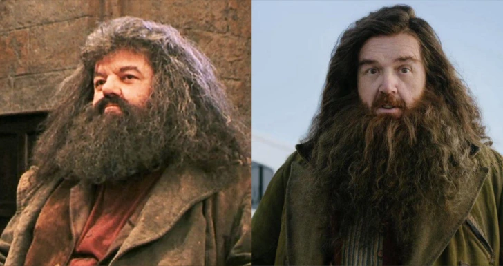 Hagrid HBO