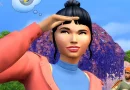 The SIMS 4