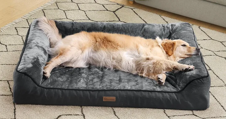 Amazon Cama para Cão