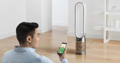 Dyson PC2 Cool De-Nox