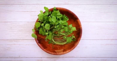 Este é o alimento mais saudável do mundo de acordo com os nutricionistas