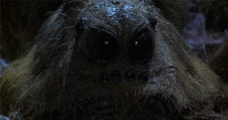 Aragog