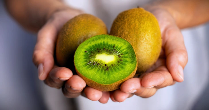 Kiwi Sono Dormir