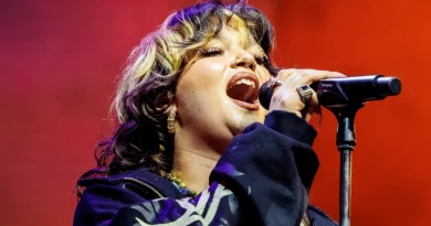Os 5 Melhores Concertos do Vodafone Paredes de Coura 2025
