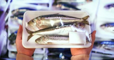Universidade de Coimbra expõe risco grave associado a este peixe popular