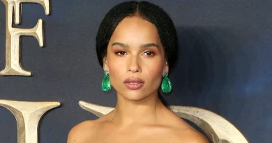 Zoë Kravitz (“Apanhado a Roubar”) vive romance com esta estrela Pop