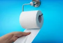 Especialistas de Harvard recomendam trocar o papel higiénico por esta alternativa mais sustentável