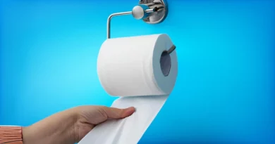 Especialistas de Harvard recomendam trocar o papel higiénico por esta alternativa mais sustentável