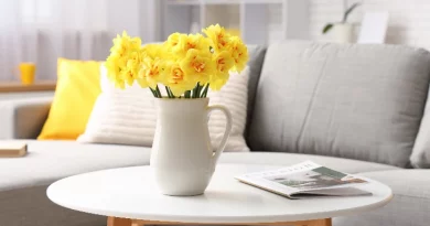 home decor loja do gato preto