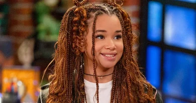 regresso dos feiticeiros a waverly place disney+