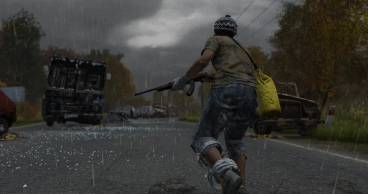 DayZ