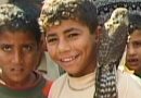 DocLisboa ’25 | With Hasan in Gaza – Análise