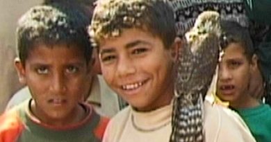 with hasan in gaza critica doclisboa