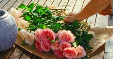 les habitants uma pedra no sapato critica festa do cinema frances