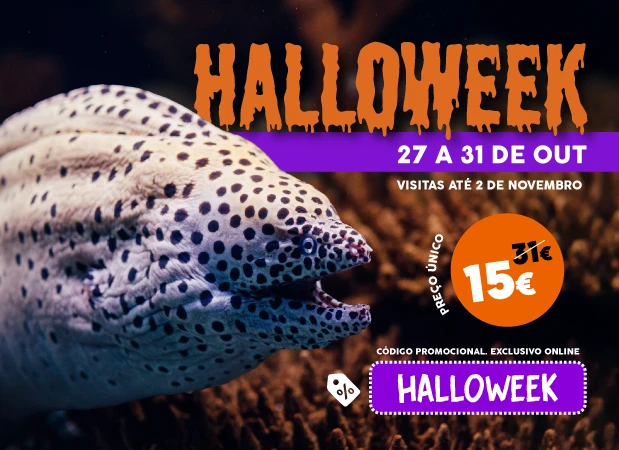 halloweek oceanário de lisboa