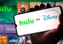 Hulu no Disney+