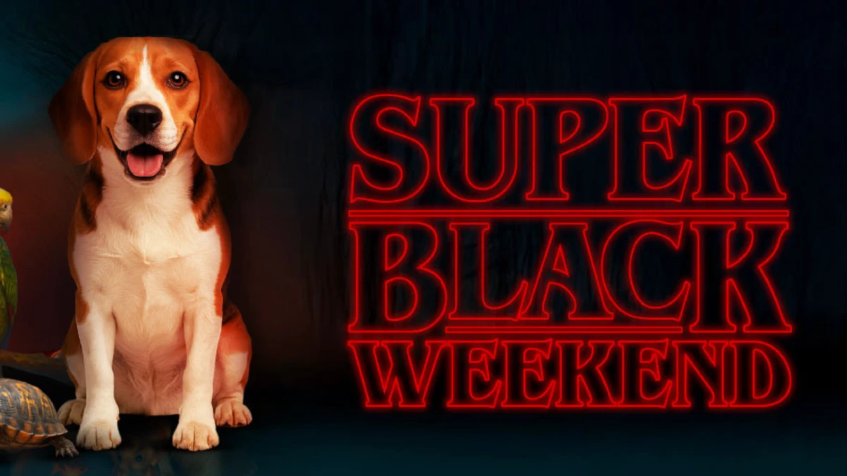 goldpet na black friday