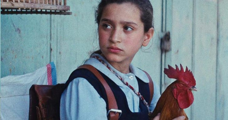 Mamlaket al-qasab (2025).jpg