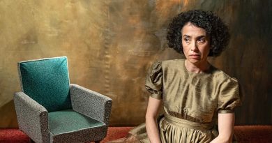 As Meninas Exemplares — Análise As Meninas Exemplares — Análise