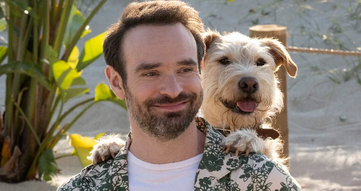 Merv Streaming Prime Video