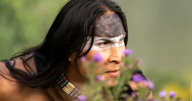 Touro Sentado Canal História