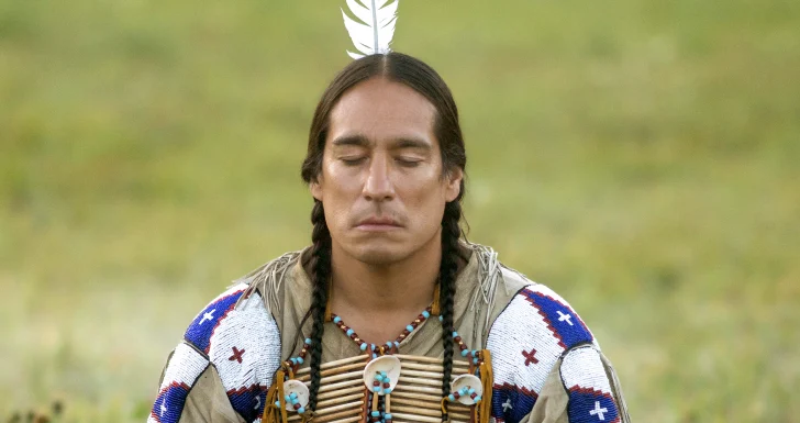 Touro Sentado Leonardo DiCaprio