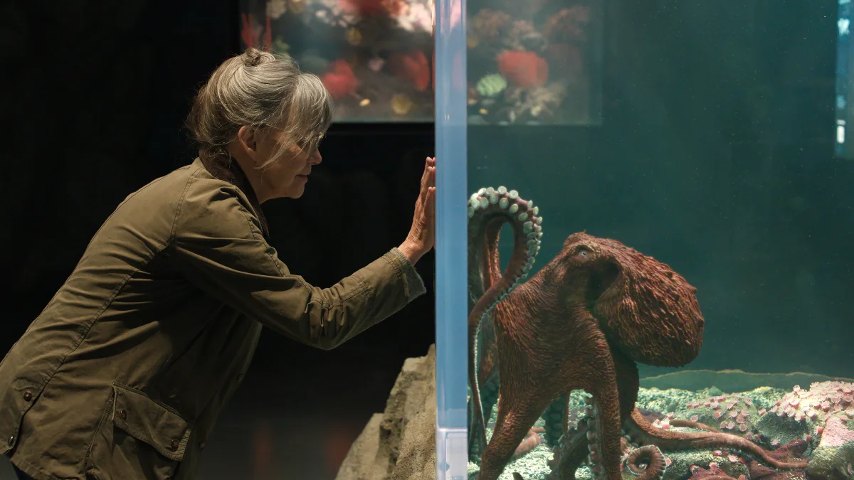 Remarkably Bright Creatures