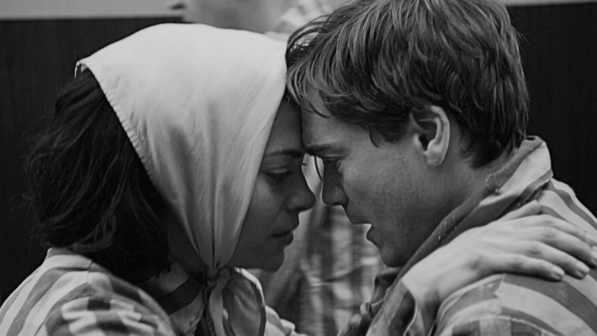 Bau, Artist at War no Streaming