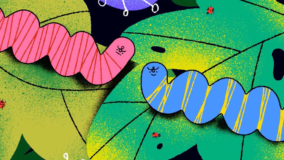 Competição de Curtíssimas