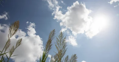 Anticiclone recorde chega a Portugal a 30 Março: Como aproveitar para uma Santa Páscoa? Anticiclone recorde chega a Portugal a 30 Março: Como aproveitar para uma Santa Páscoa?