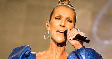 França ao rubro com o regresso surpresa de Céline Dion aos palcos? França ao rubro com o regresso surpresa de Céline Dion aos palcos?