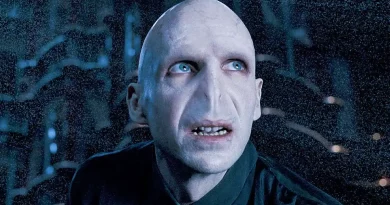 voldemort harry potter