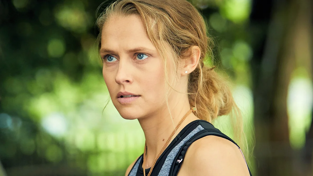 A Discovery of Witches