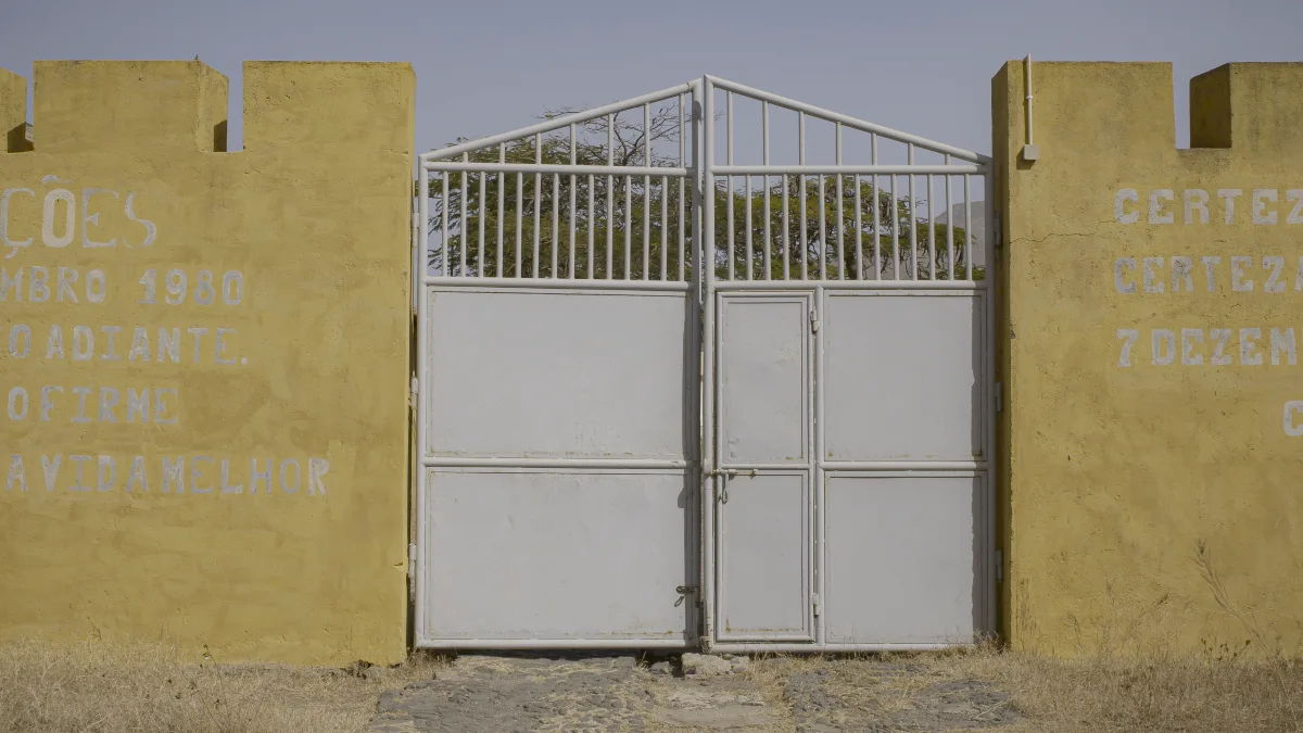 Chão Verde de Pássaros Escritos