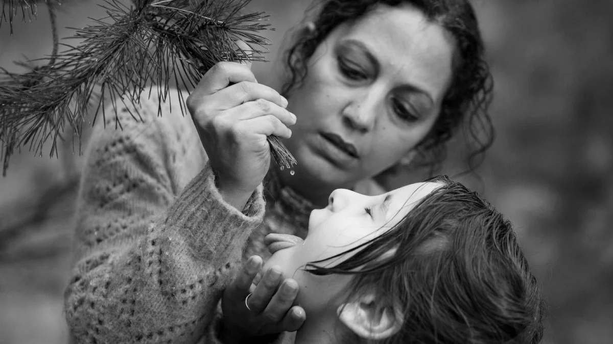 Green Border - Zona de Exclusão