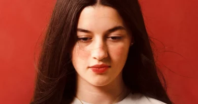 Os Domingos, a Crítica