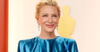 Filme vencedor de 3 Óscares, com Cate Blanchett, vai sair da Netflix Filme vencedor de 3 Óscares, com Cate Blanchett, vai sair da Netflix
