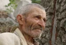 RTP2 estreia filme vencedor do Prémio Especial do Júri no Festival de Cinema de Veneza