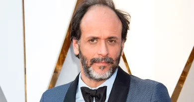 Amazon abandona projeto polémico de Luca Guadagnino