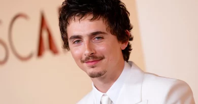 Timothée Chalamet lidera novo filme dos produtores de Minions