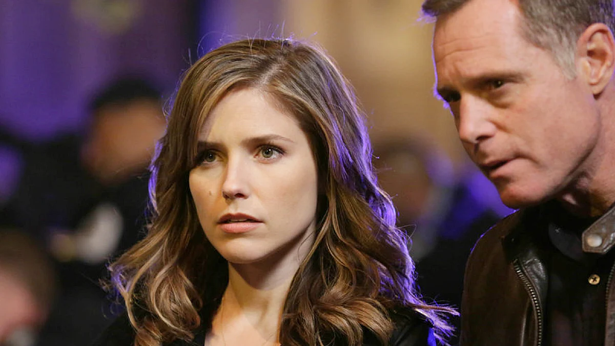 Chicago P.D. A Lei de Chicago Netflix