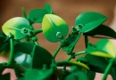 LEGO lança o set Botanical mais realista de sempre