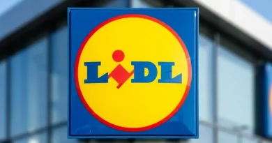 Lidl lança calções (estilo Ralph Lauren) ao preço mais baixo de sempre