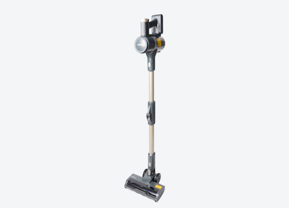 action aspirador dyson