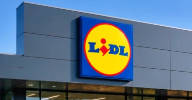 Lidl lança caixas de arrumação (estilo IKEA) ao preço mais baixo de sempre Lidl lança caixas de arrumação (estilo IKEA) ao preço mais baixo de sempre