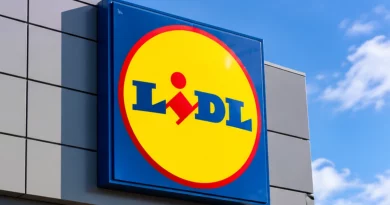 Lidl lança t-shirts (estilo Ralph Lauren) ao preço mais baixo de sempre Lidl lança t-shirts (estilo Ralph Lauren) ao preço mais baixo de sempre