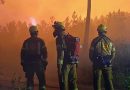 CineEco Lessons in Fire