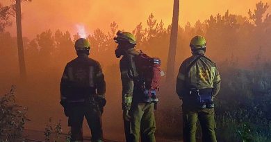 CineEco Lessons in Fire